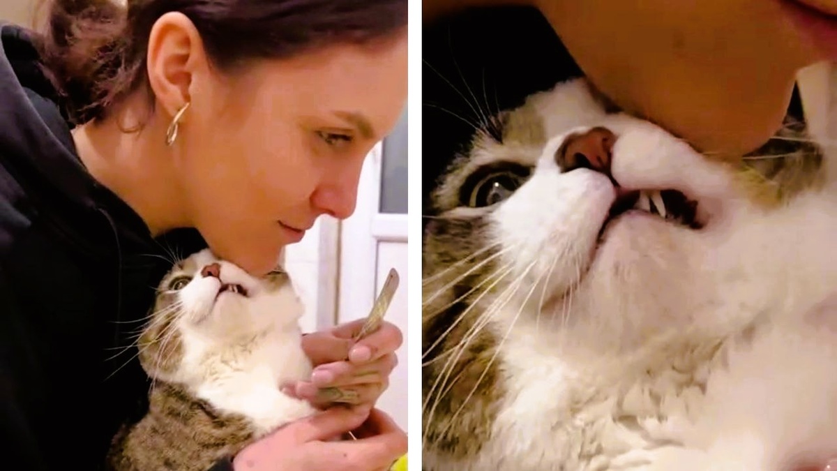 Не будите во мне зверя