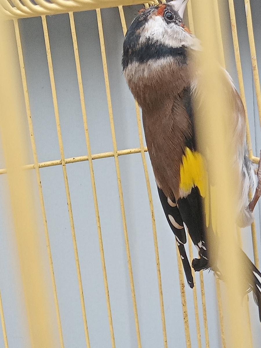 Яся. Боится пока что.