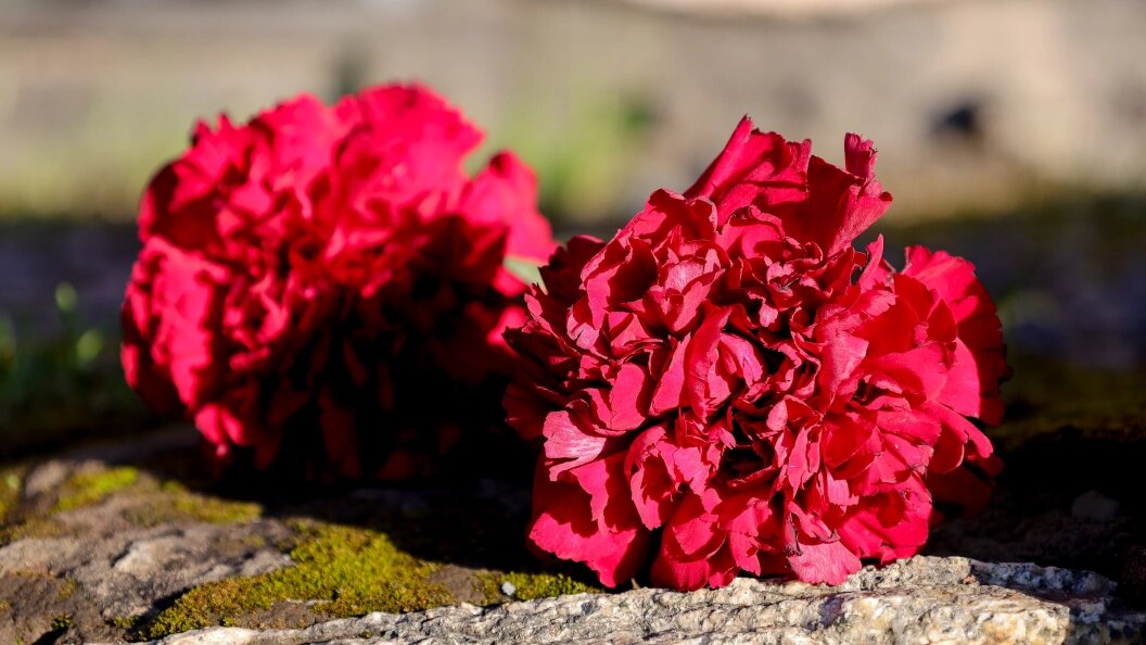    Фото: Elena Mayorova/Globallookpress