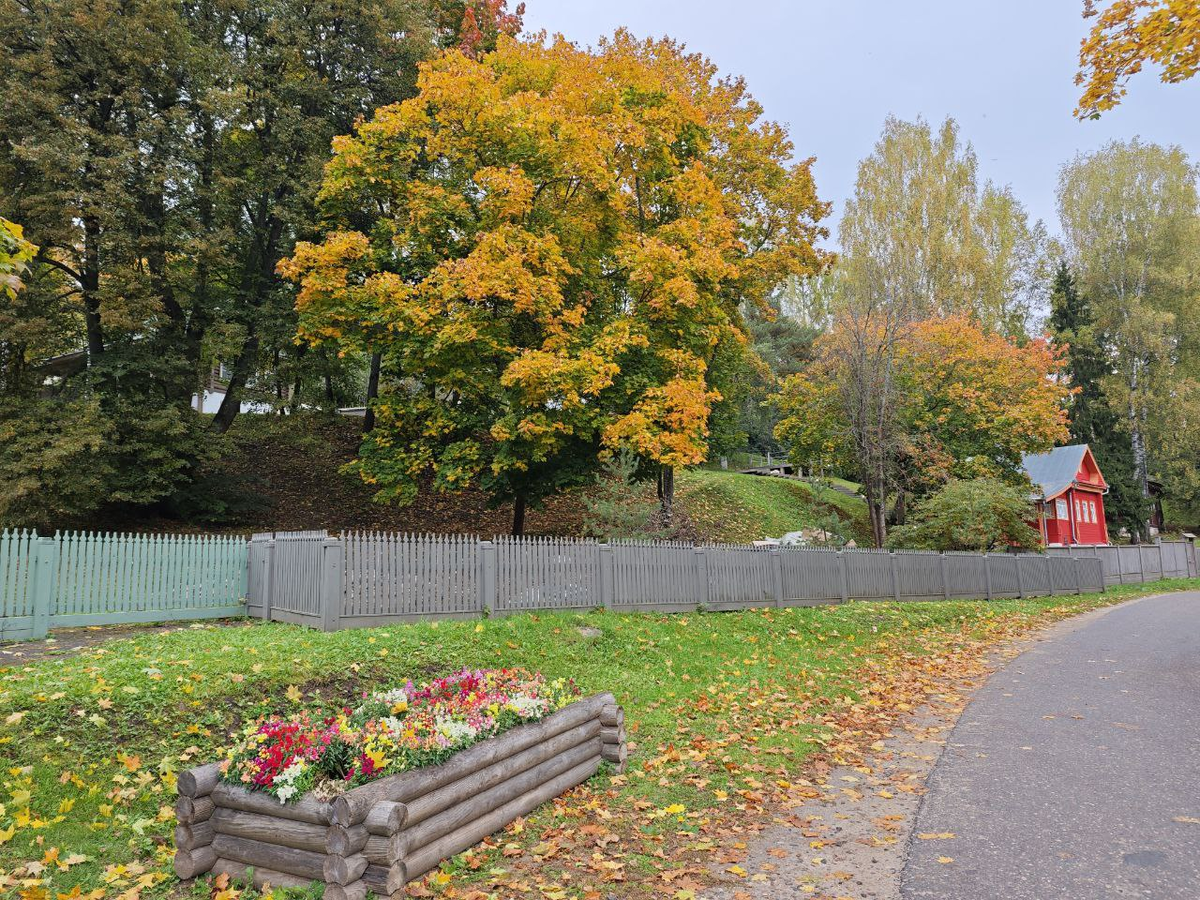золотая осень, ну почти
