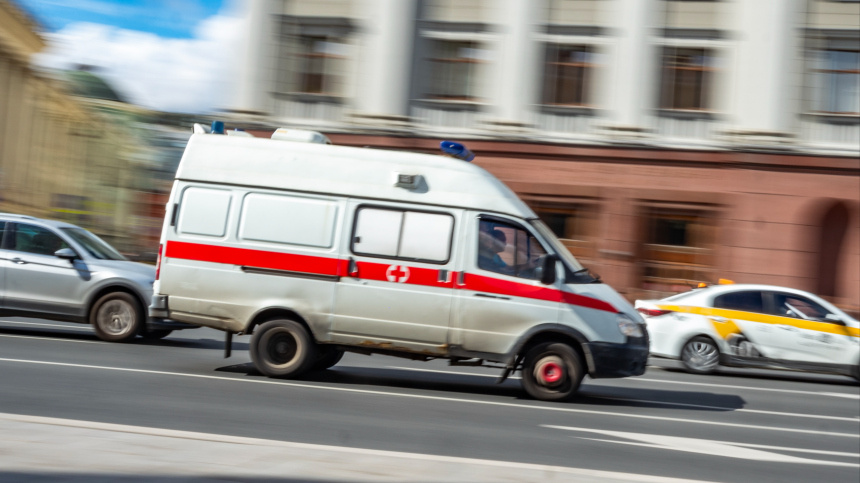    Фото: ИЗВЕСТИЯ/Константин Кокошкин