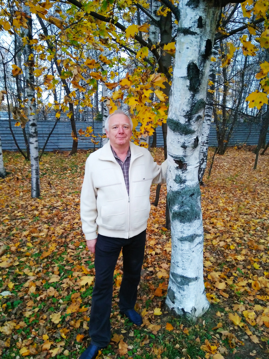 Берёзка - символ Всемирного дня русского единения.