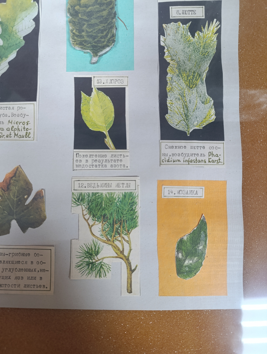 Им лишь бы напакостить