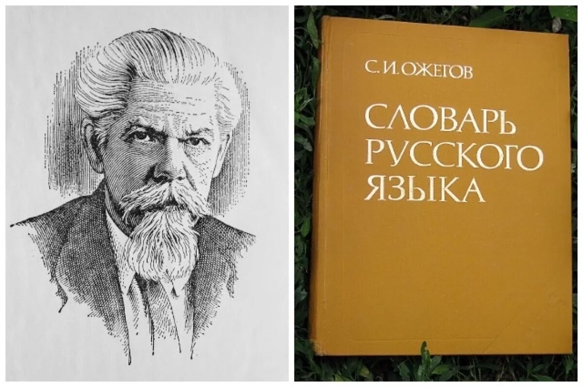    Словарь Ожегова даже сейчас остаётся своего рода эталоном в огромном книжном мире.