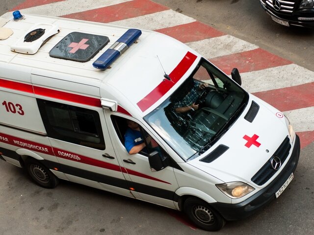    Фото: Москва 24/Игорь Иванко