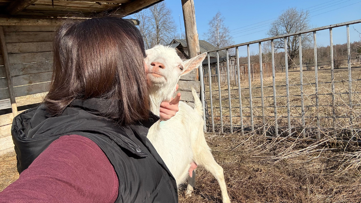 Фото автора