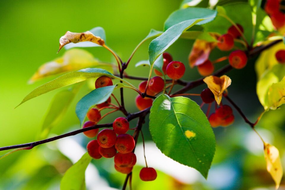    Теплая осень. Барнаул. Источник: Виталий Барабаш/Толк