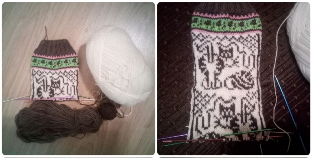 Котики...озорные, весёлые, шаловливые.