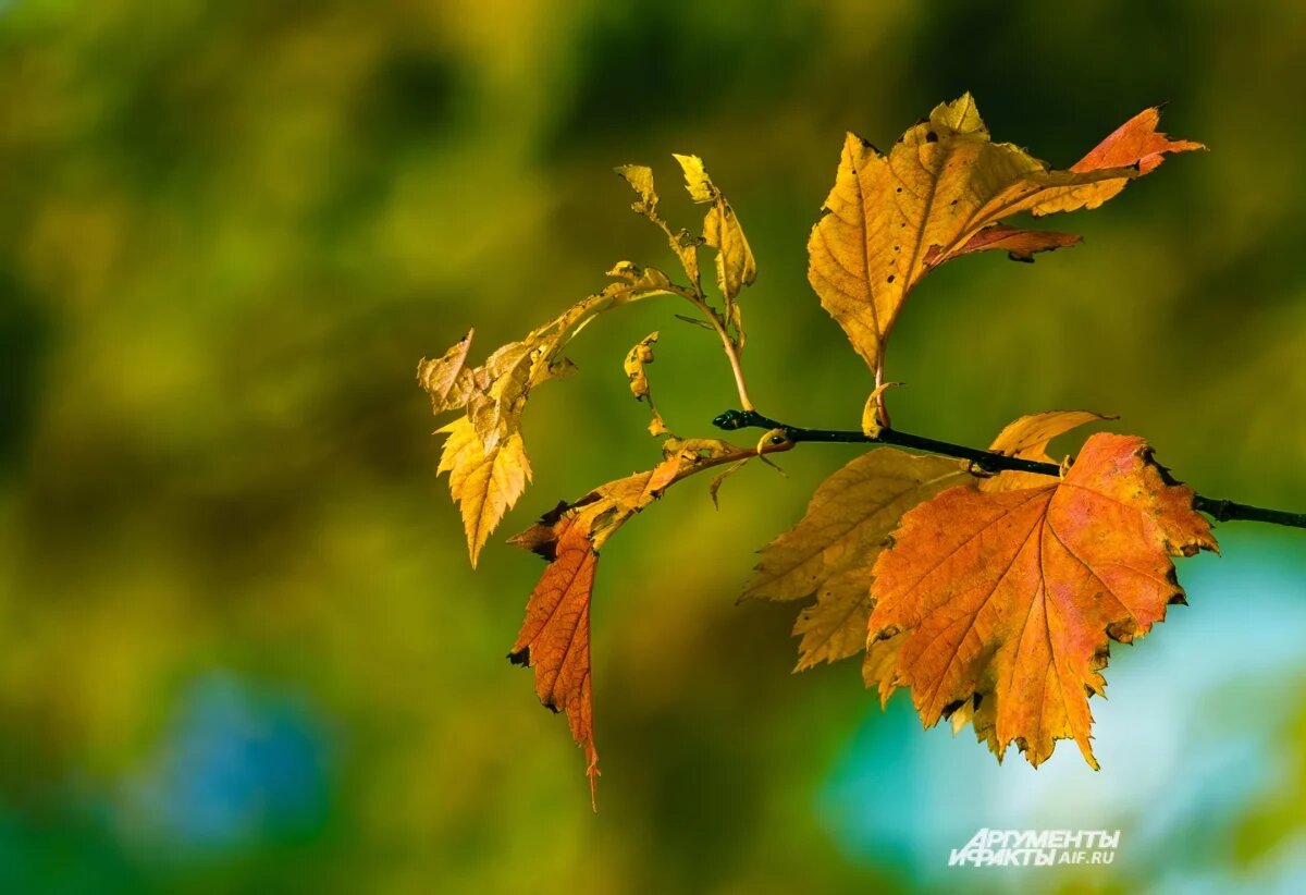    В Камчатском крае зарегистрированы 44 афтершока за сутки