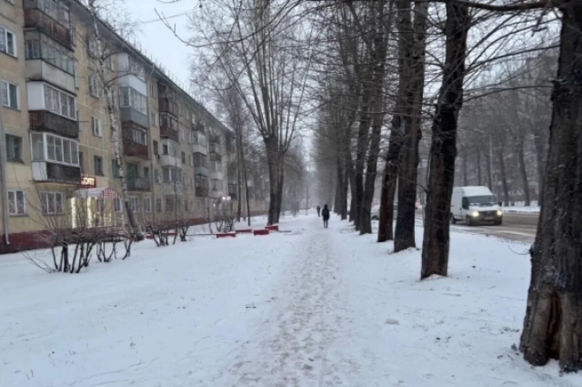    Климатолог предсказал суровую зиму для Новосибирска в 2025-2026 годах