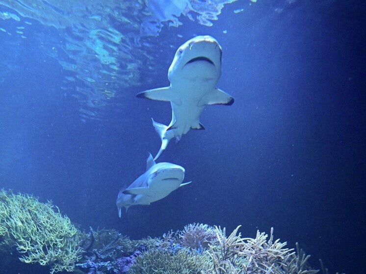     © Bernd WeiÃŸbrod/: dpa/Global Look Press