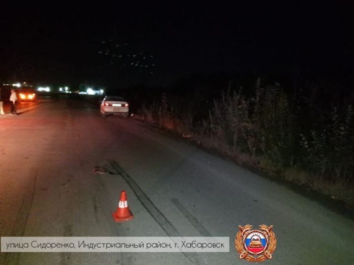   Фото:Пресс-служба Госавтоинспекции Хабаровского края