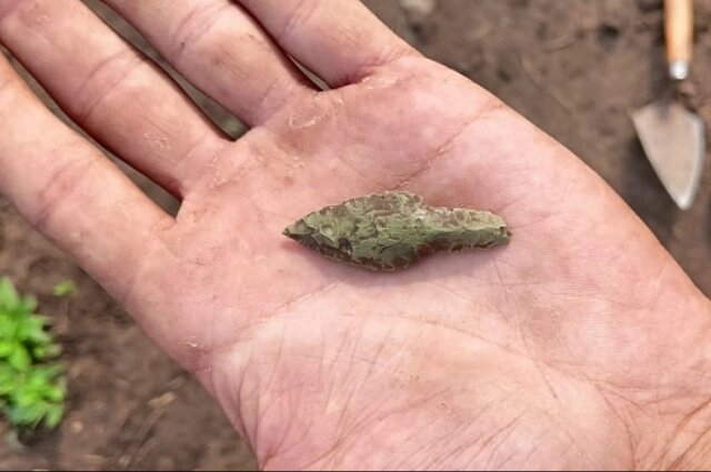    Фото: АмГПГУ - Амурский гуманитарно-педагогический университет