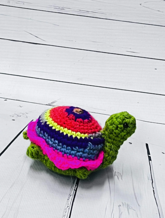 Моя черепашка