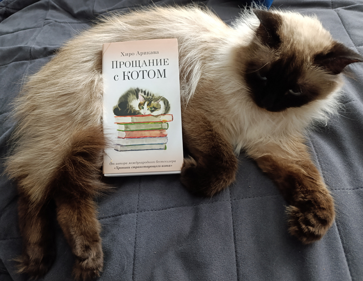 Сегодня читаемую книгу в формате pocket book в мягкой обложке, но с суперобложкой и приятным бонусом внутри рекомендует Джессика. 