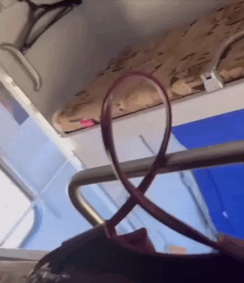 Кадры украинского издания "СТРАНА.UA"