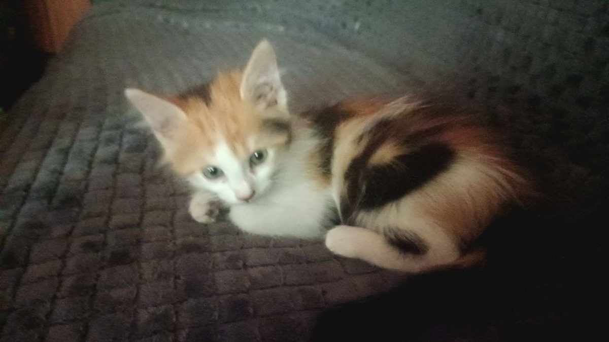 изначально меня напрягло, что им даже имён толком не дали (((