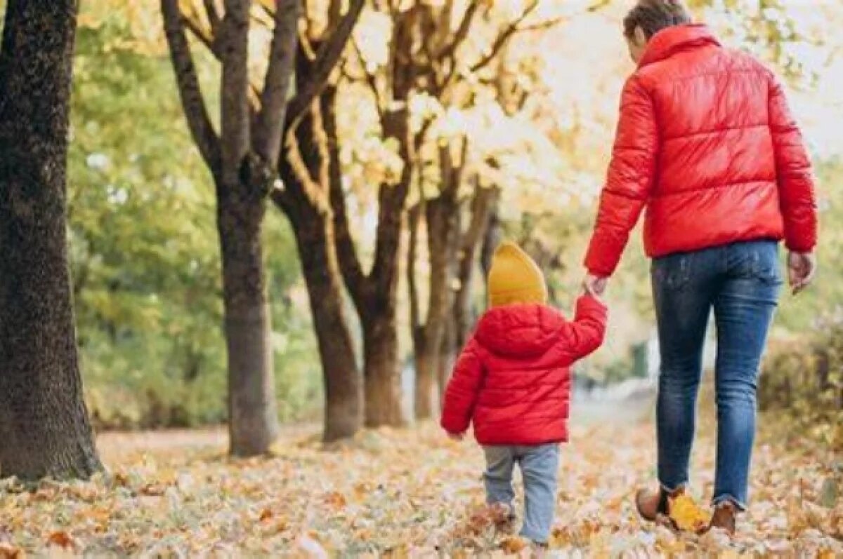    В Хабаровске мать восстановила родительские права благодаря приставам