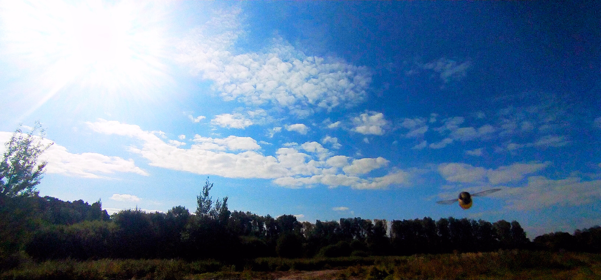 Личное фото