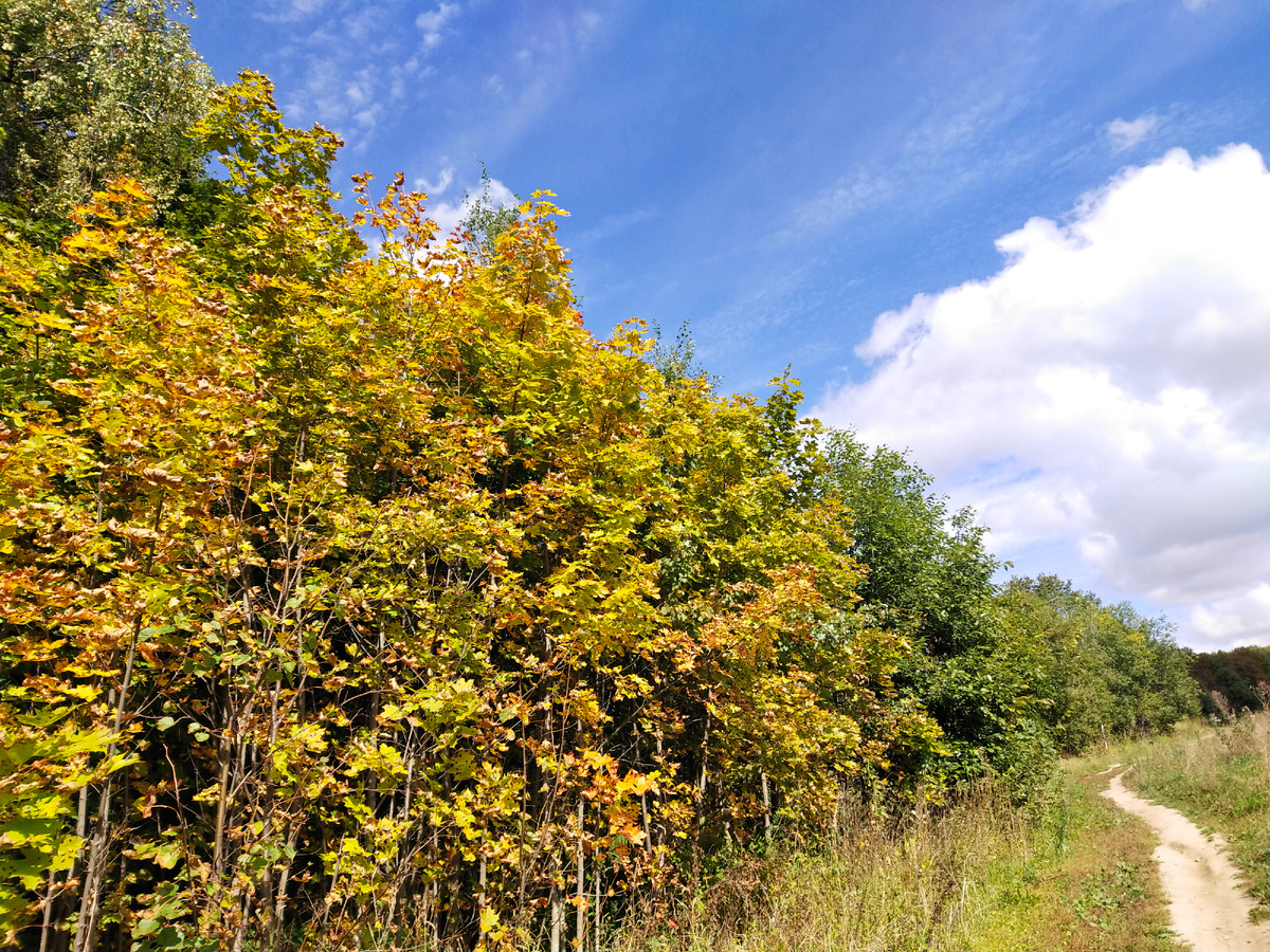 Личное фото