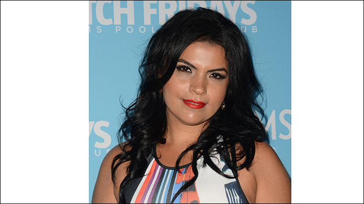 Васси. Инет