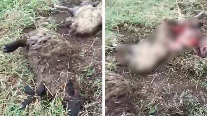    Фото: Сиб.фм