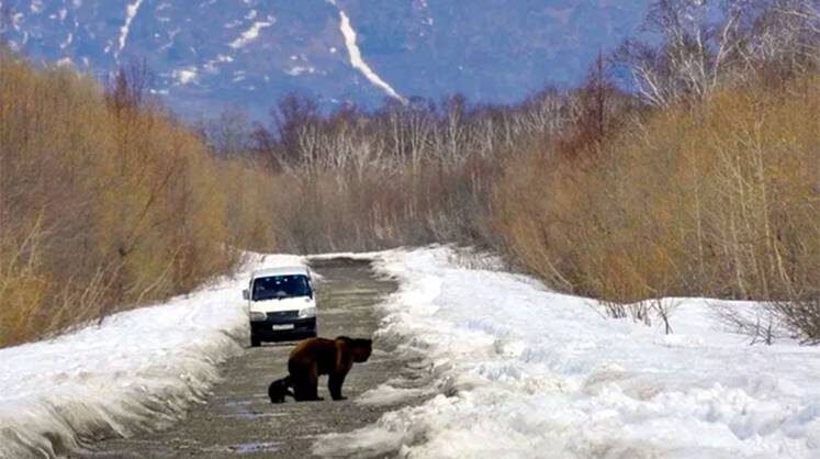    АЛЕКСАНДР ПЕТРОВ/ТАСС