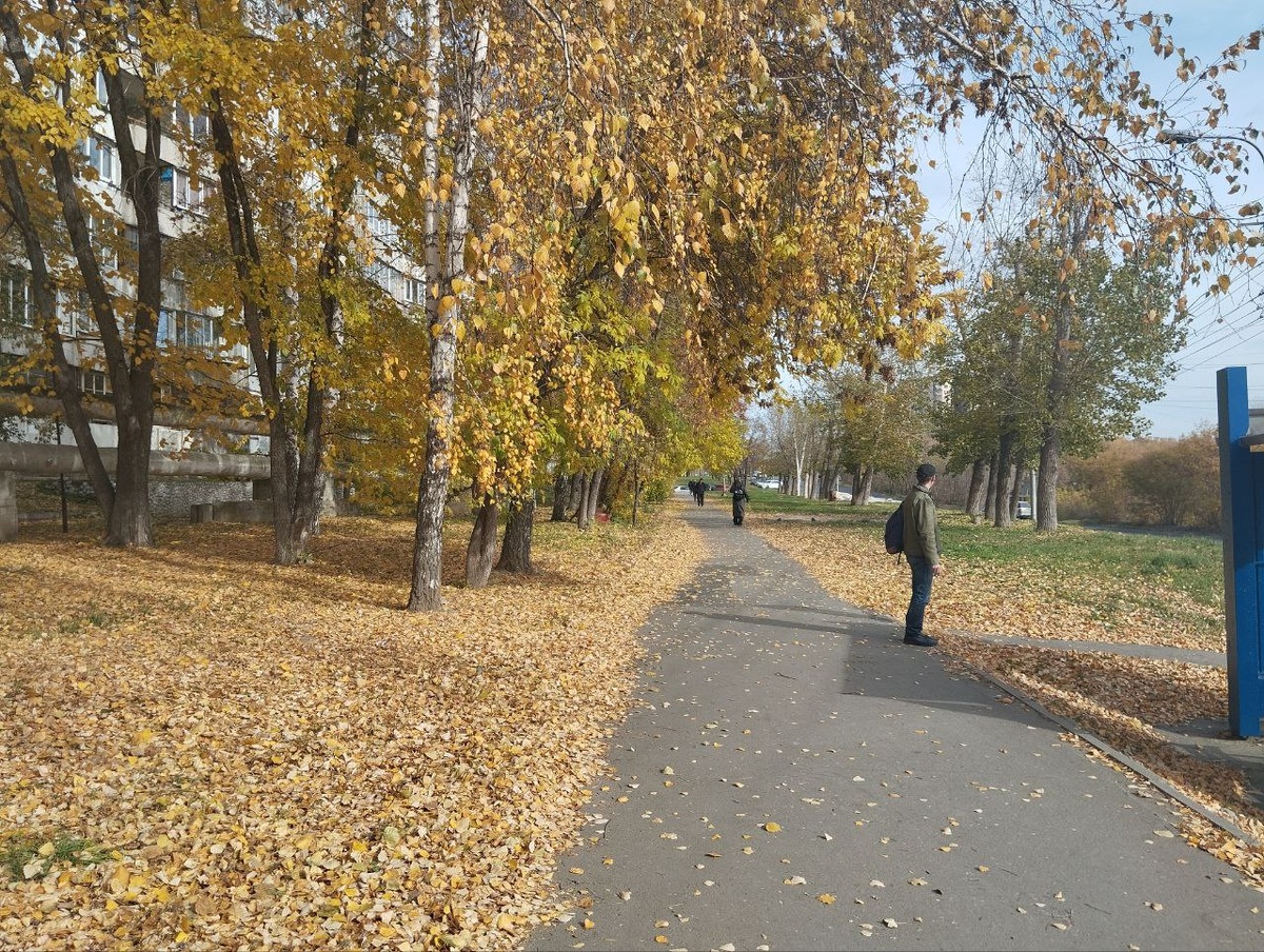 Погода теплая.  Фото: Фото: ФедералПресс / Екатерина Ломакина