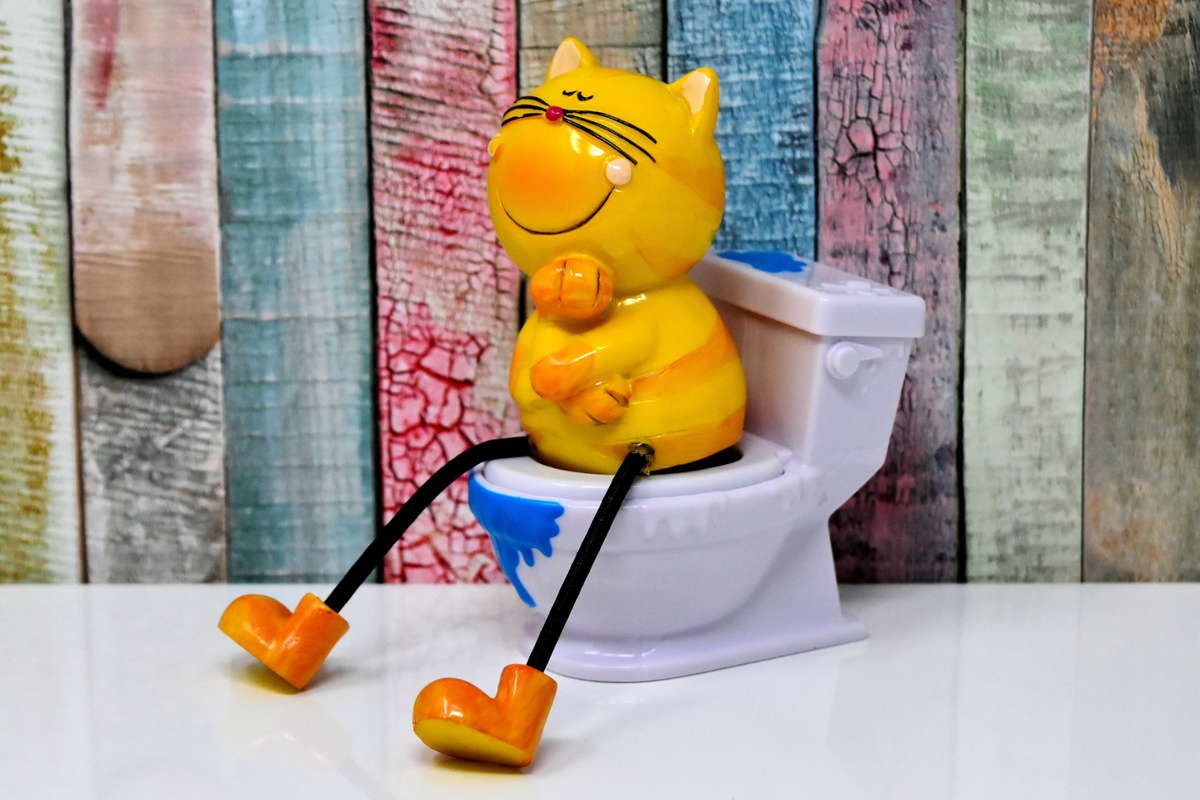 Жаль, что в реальной жизни такое трудно осуществить. Фото Alexa/Pixabay