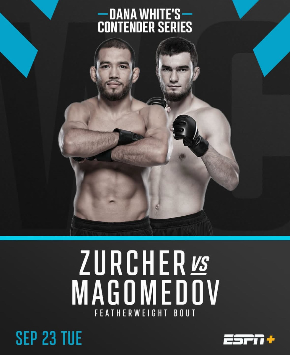     Постер боя Магомедов – Зурхер