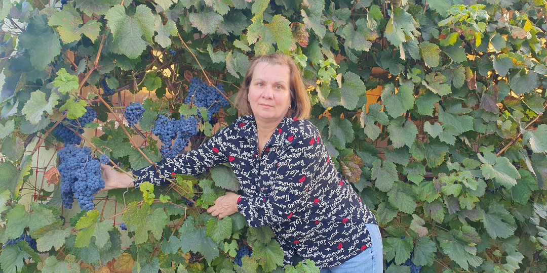 Секрет виноградного изобилия: как осенью подготовить лозу к русской зиме и собрать вдвое больше ягод