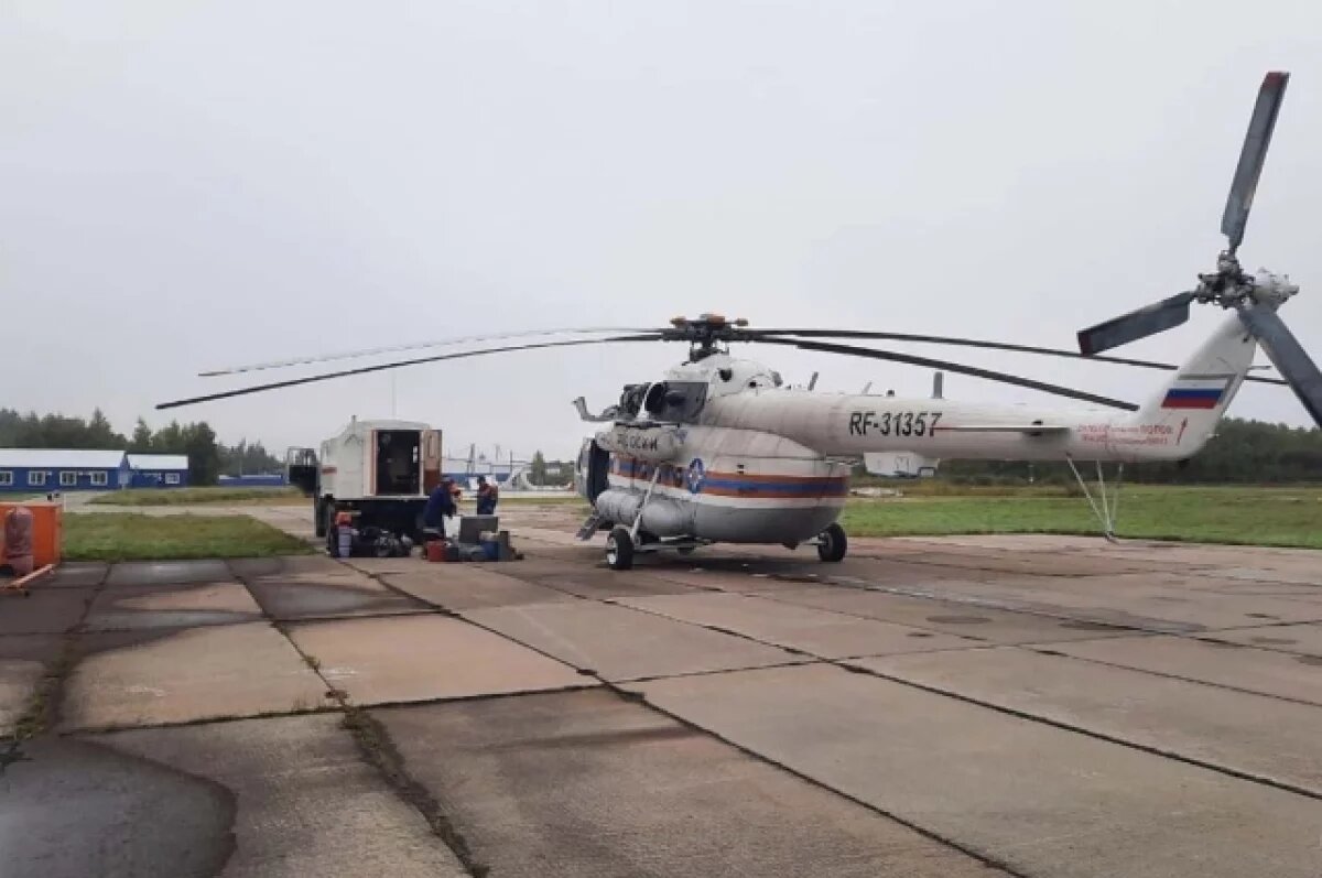    В Хабаровском крае мужчина пропал в лесу во время сбора дикоросов