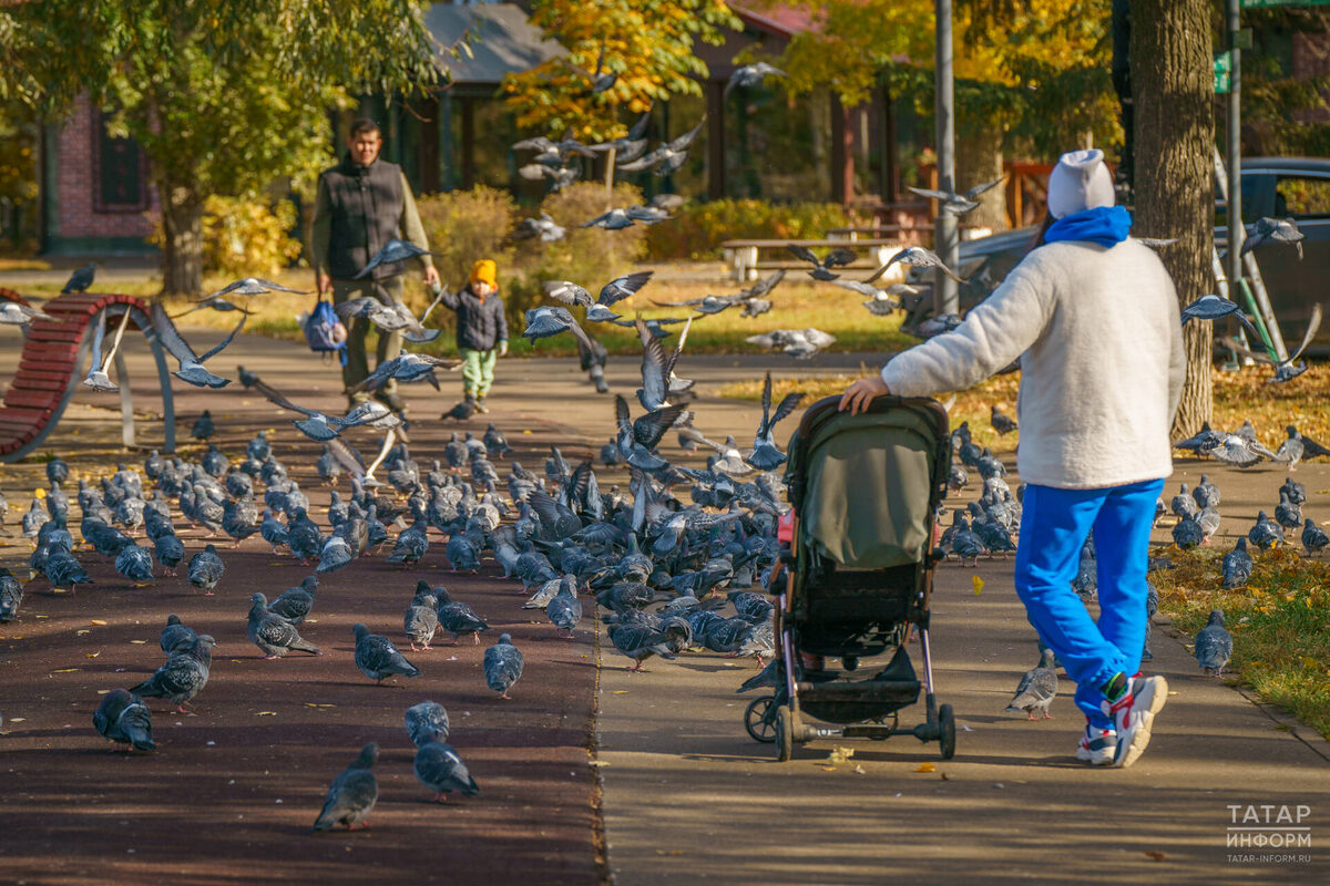 Фото: © Владимир Васильев / «Татар-информ»