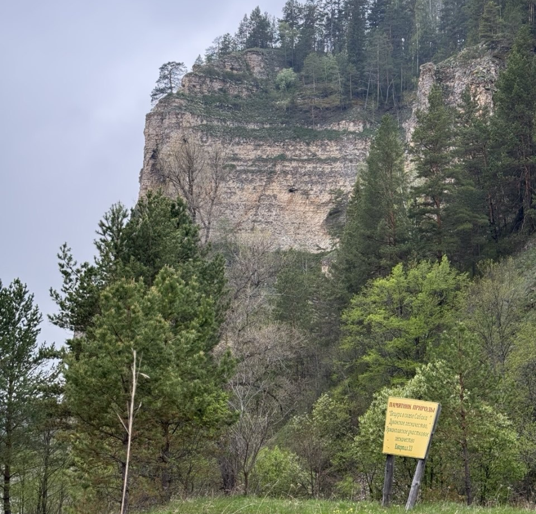 Дорога до Сабакая