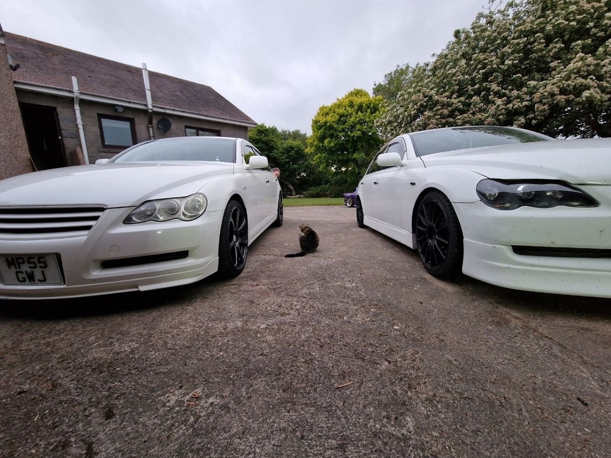    Штраф за мойку машины во дворе: миф или реальность - в каких случаях инспектор действительно может вас наказать