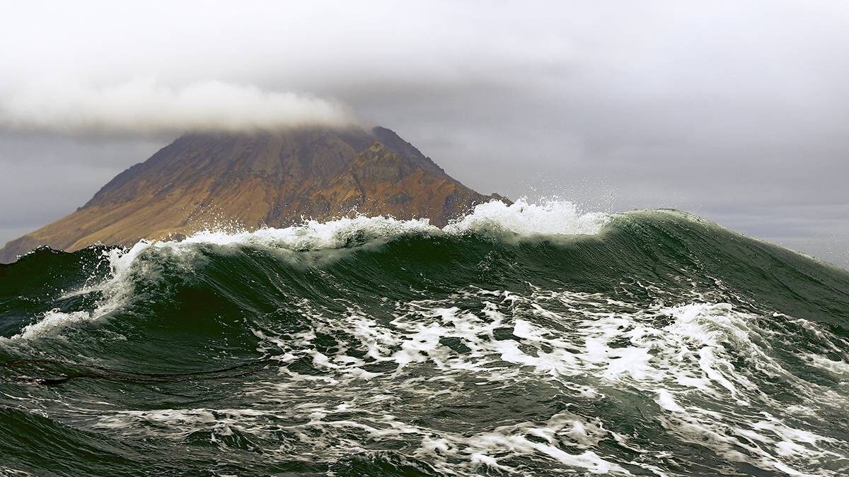    Фото: shutterstock