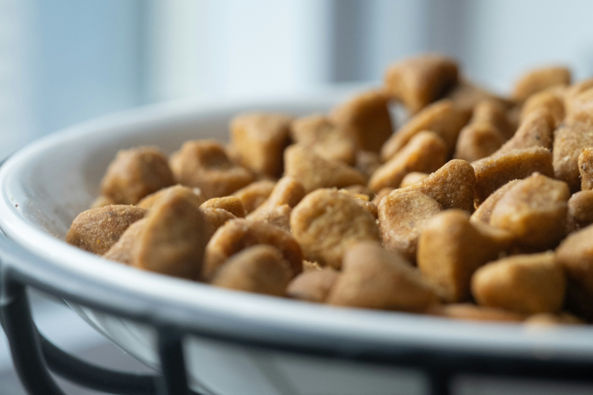 Собачий корм сбалансирован с прицелом на собачий метаболизм. Можно ли его употреблять человеку? Фото Samantha Hare/Unsplash