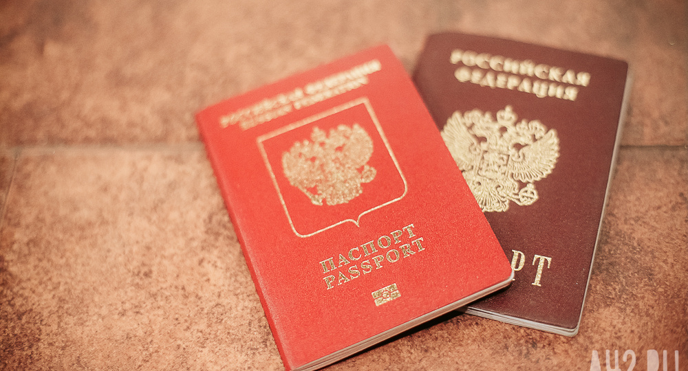 Кабмин поддержал законопроект о лишении приобретённого гражданства уклонистов и членов их семей