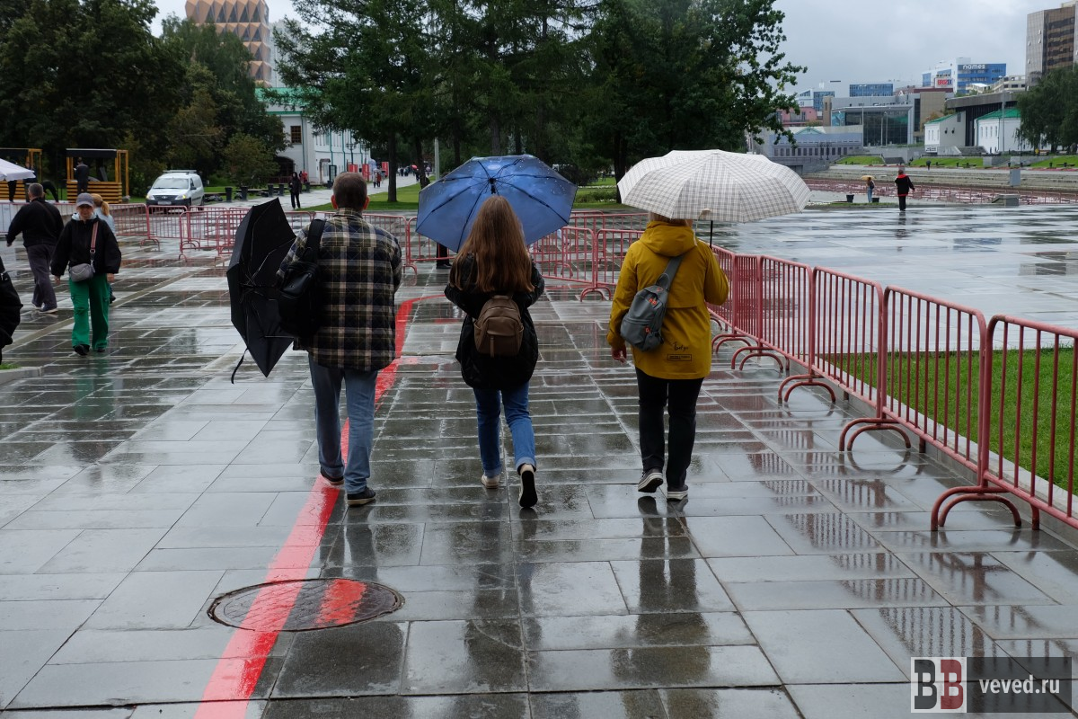     Фото: Владислав Постников / Вечерние ведомости
