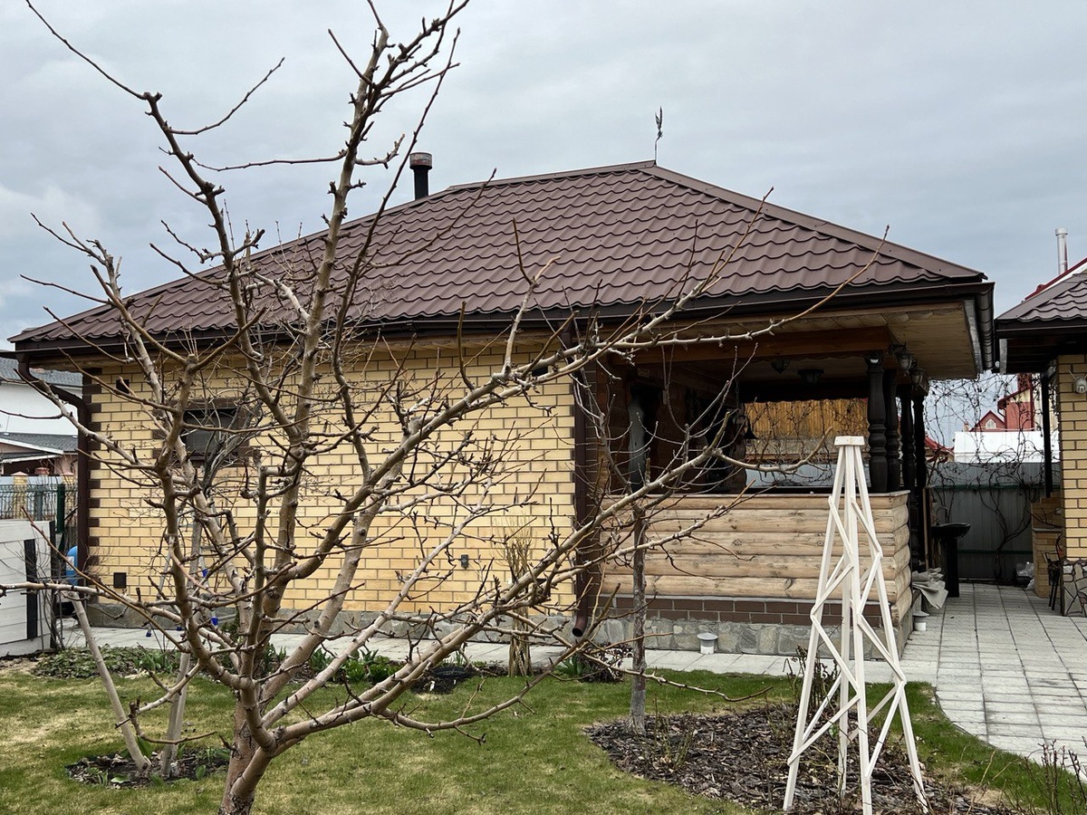 Груша ранней весной