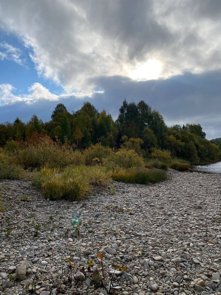 Первое утро. Чудесное!