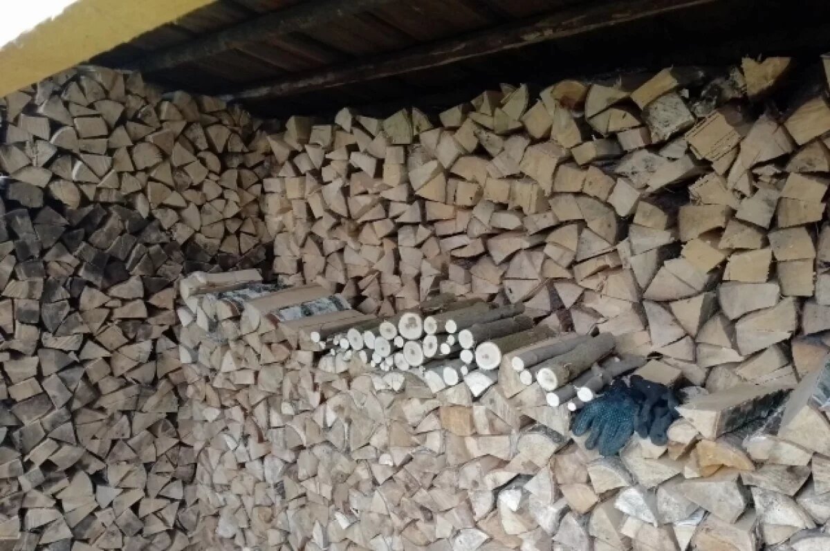    Житель Удмуртии попался на незаконной вырубке леса ради дров