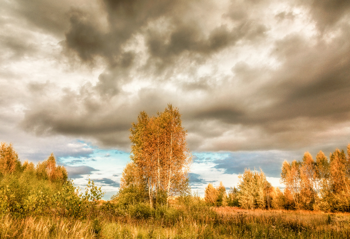 фото:Sergey Metelitsa/Global Look Press