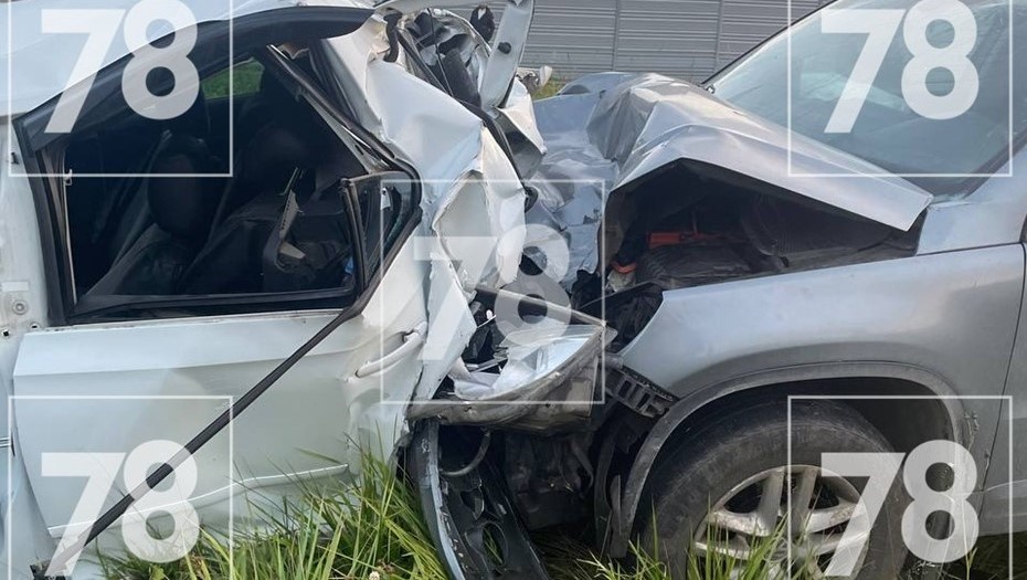    Автор фото: 78.ru