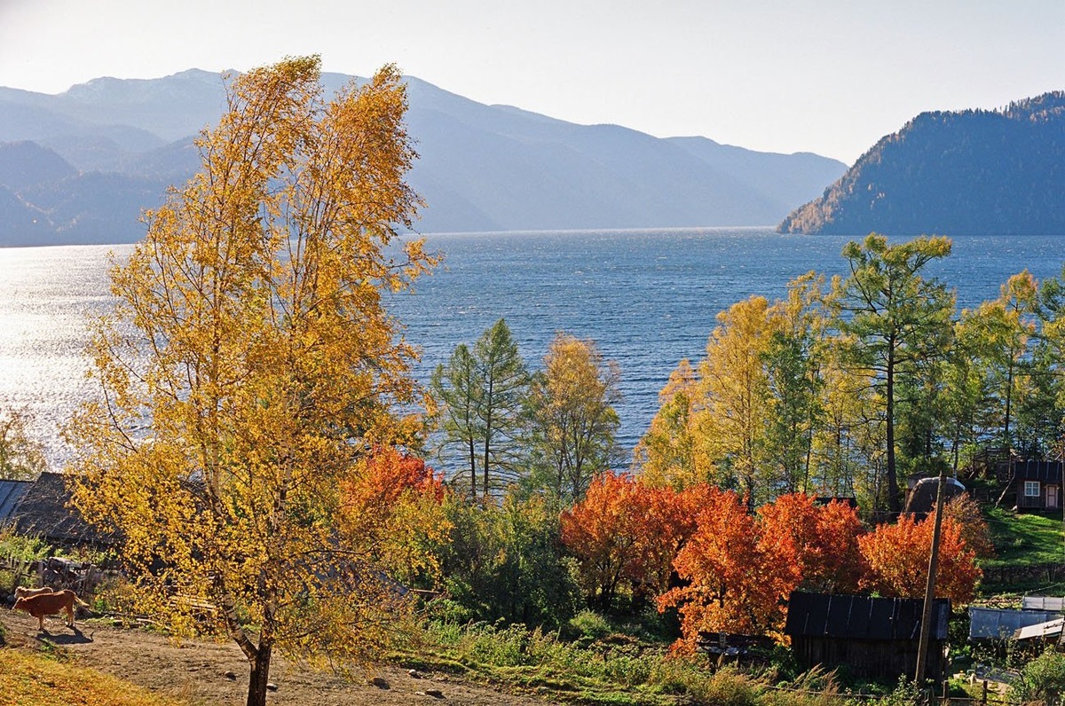 Источник фото - https://clk.li/IVLm