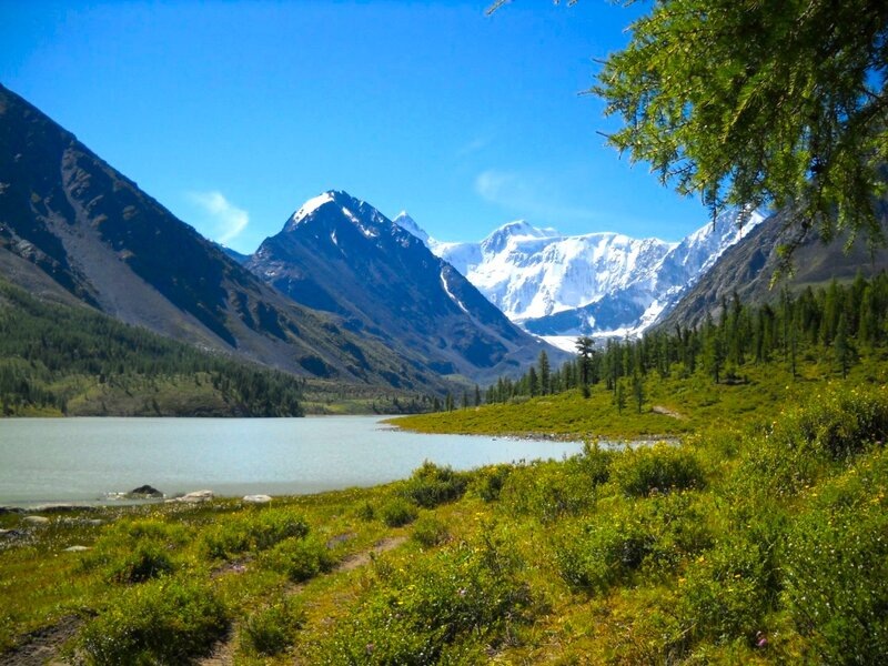 Наибольшее внимание привлекает гора Белуха. Источник фото - https://clk.li/JvSV