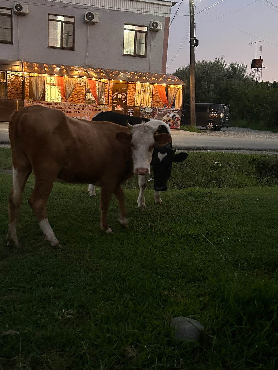    архив samaraonline24.ru