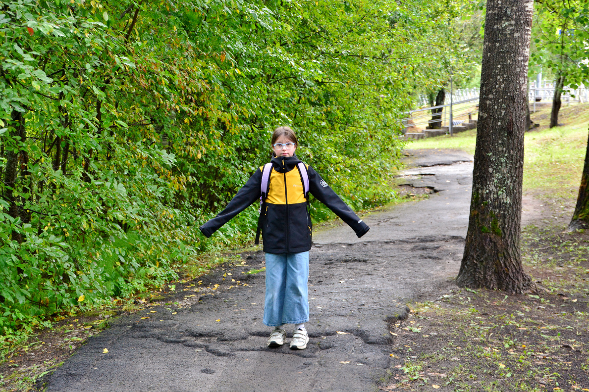 Дорога от парковки к павильонам