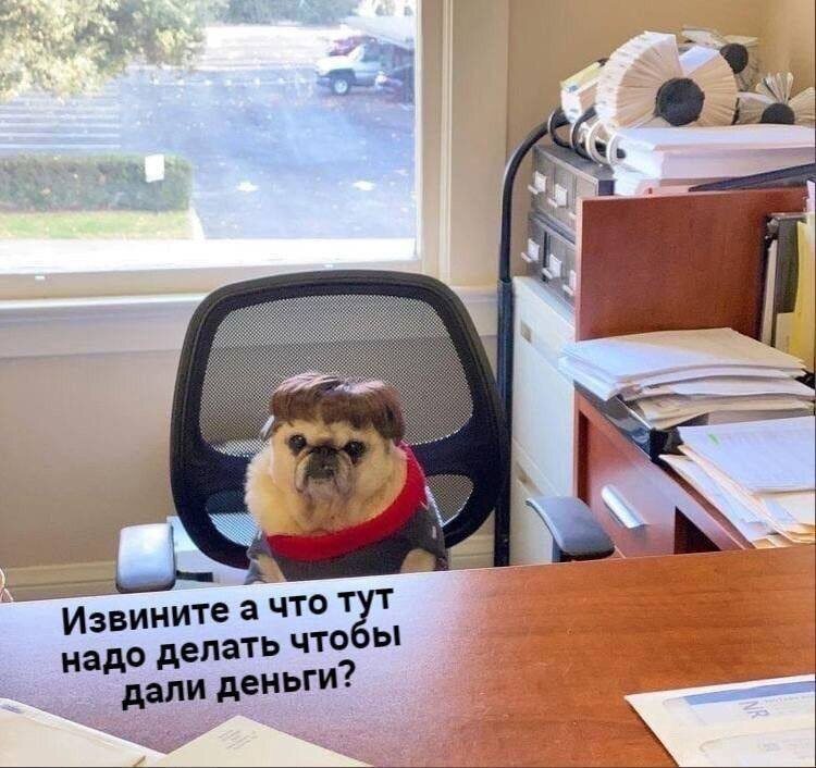 контент-план для Инстаграм, контент-план для Телеграм-канала, бесплатный контент-план на месяц, шаблон контент-плана для соцсетей, как составить контент-план с нуля, контент-план для соц сетей с примерами постов