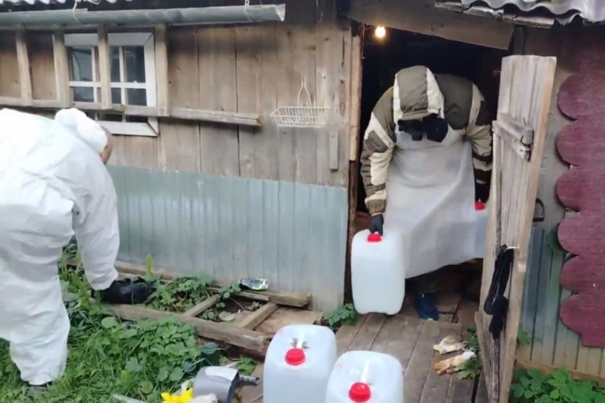   скриншот с сайта МВД Медиа